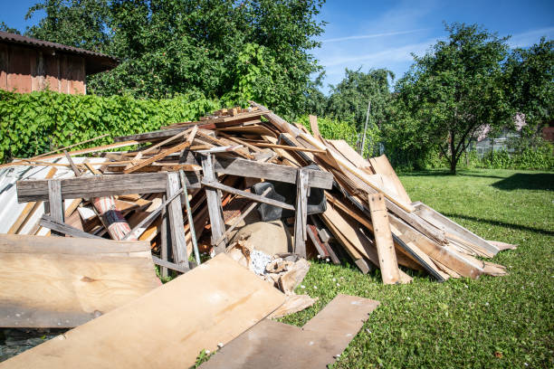 Best Furniture Removal  in Elkins, WV