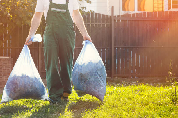 Best Donation Pickup Services  in Elkins, WV